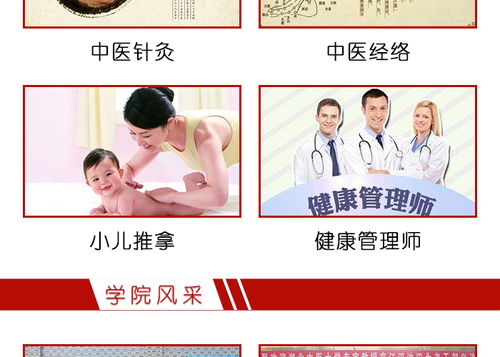湖北中醫藥學校的中醫養生培訓與養生保健服務